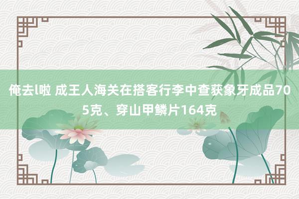 俺去l啦 成王人海关在搭客行李中查获象牙成品705克、穿山甲鳞片164克