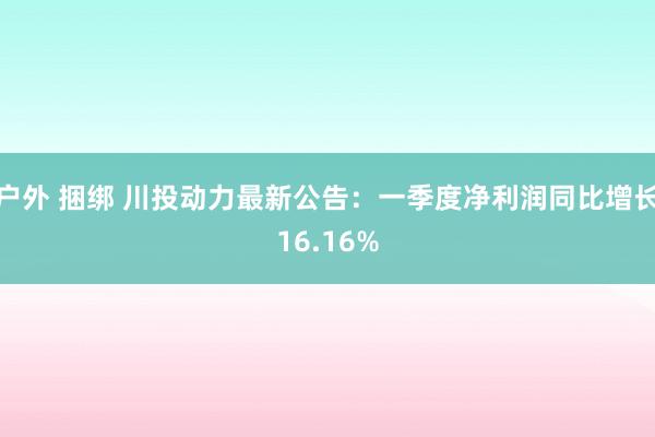 户外 捆绑 川投动力最新公告：一季度净利润同比增长16.16%