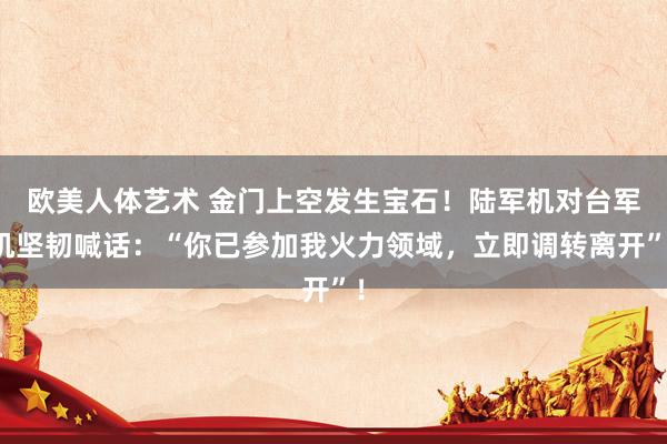 欧美人体艺术 金门上空发生宝石！陆军机对台军机坚韧喊话：“你已参加我火力领域，立即调转离开”！