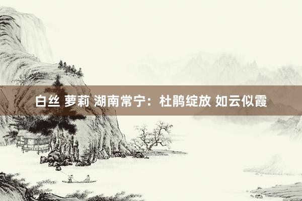白丝 萝莉 湖南常宁：杜鹃绽放 如云似霞