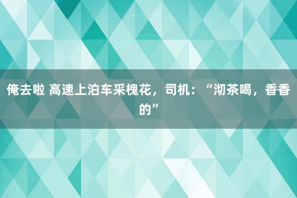 俺去啦 高速上泊车采槐花，司机：“沏茶喝，香香的”