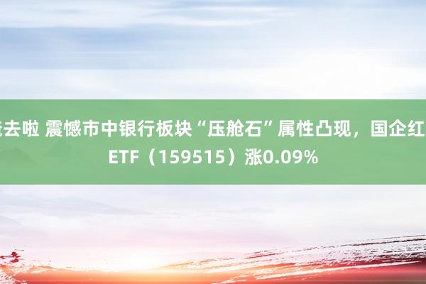 俺去啦 震憾市中银行板块“压舱石”属性凸现，国企红利ETF（159515）涨0.09%