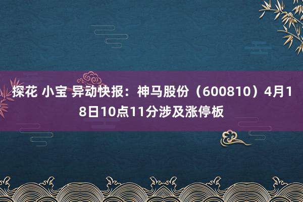 探花 小宝 异动快报：神马股份（600810）4月18日10点11分涉及涨停板