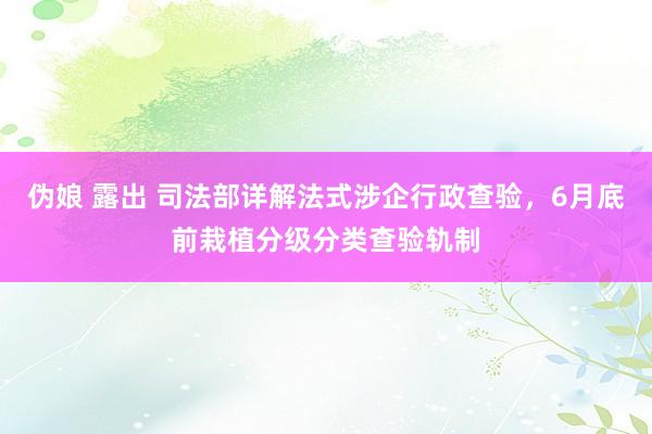 伪娘 露出 司法部详解法式涉企行政查验，6月底前栽植分级分类查验轨制