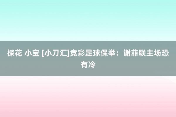 探花 小宝 [小刀汇]竞彩足球保举：谢菲联主场恐有冷