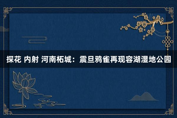 探花 内射 河南柘城：震旦鸦雀再现容湖湿地公园