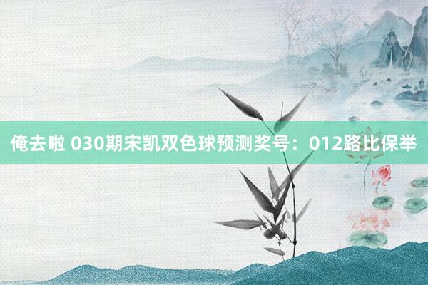 俺去啦 030期宋凯双色球预测奖号：012路比保举